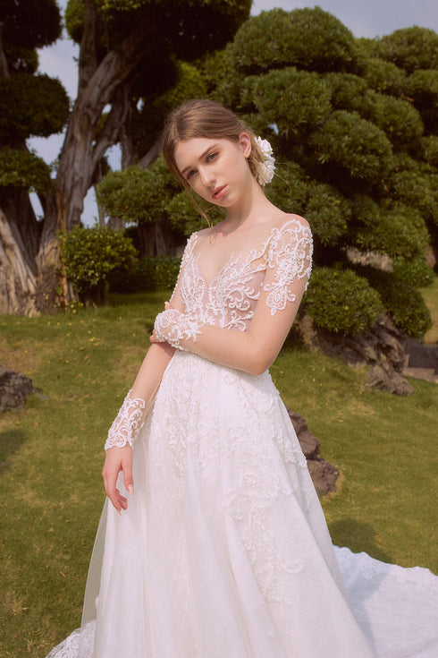 Long sleeves embroidery lace bridal gown